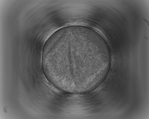 X0000099421228200806060947