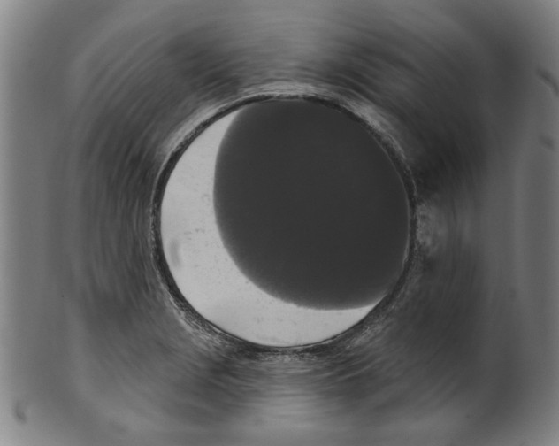 X0000099421229200806060947