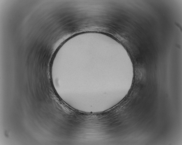 X0000099421230200806060947