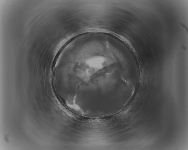 X0000099421231200806060947