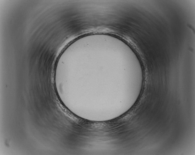 X0000099421232200806060947