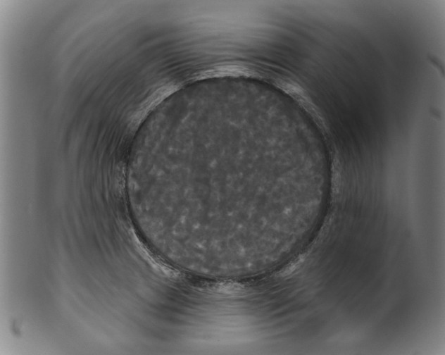 X0000099421233200806060947