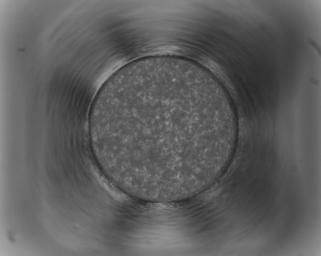 X0000099421234200806060947