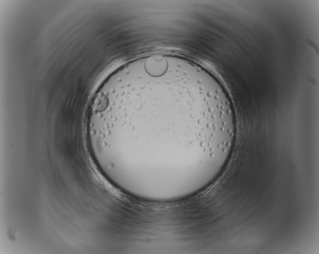 X0000099421235200806060948