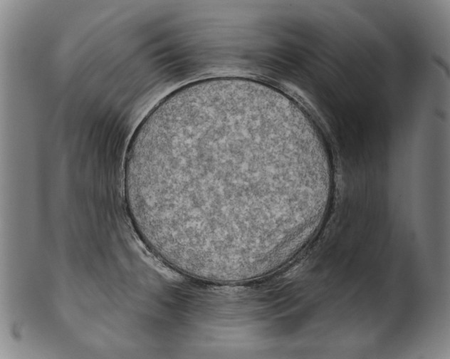 X0000099421236200806060948