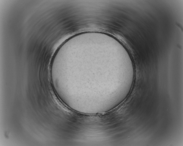 X0000099421238200806060948