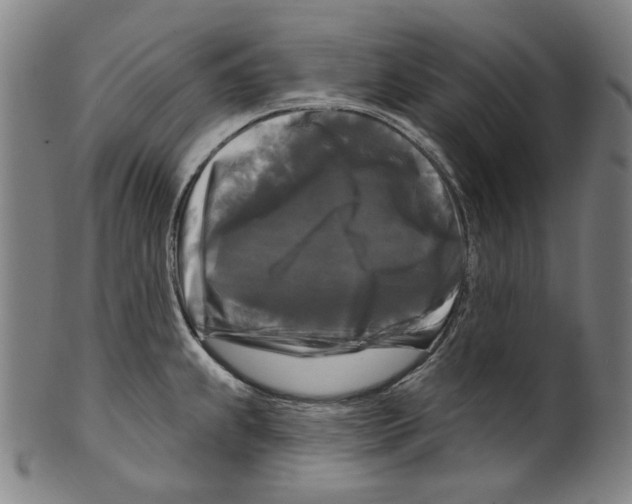 X0000099421239200806060948