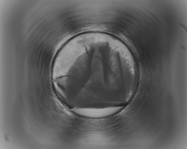 X0000099421240200806060948