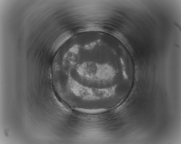 X0000099421241200806060948