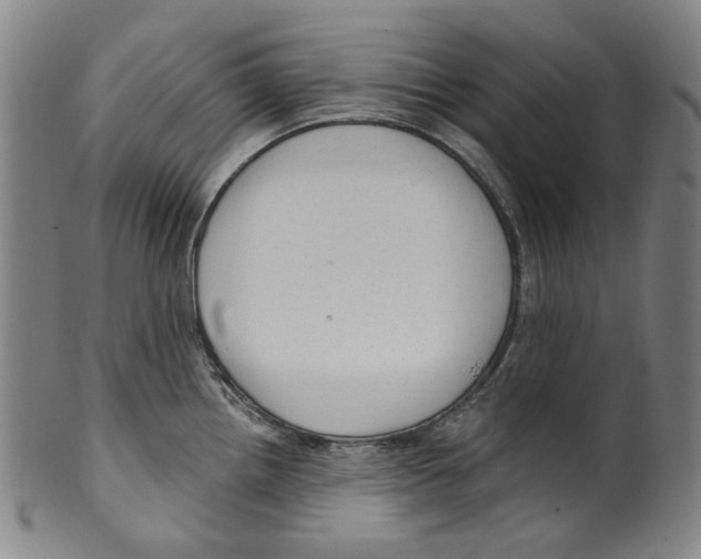 X0000099421242200806060948