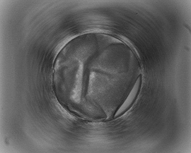 X0000099421244200806060948