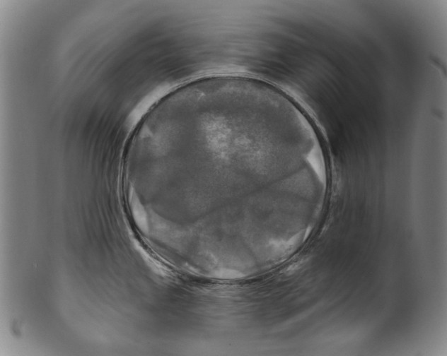 X0000099421245200806060948