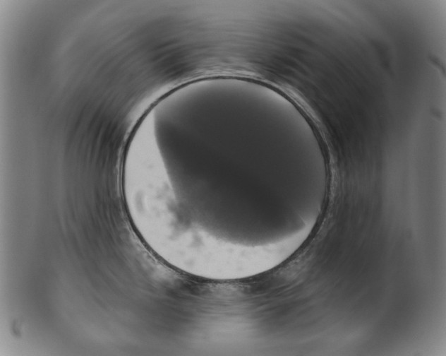 X0000099421246200806060948
