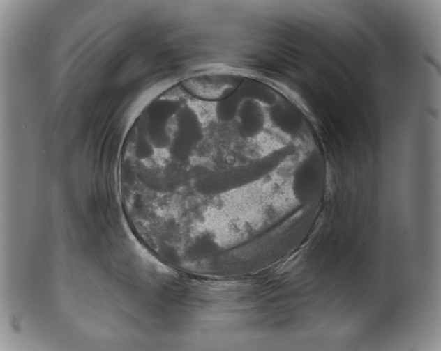 X0000099421247200806060948