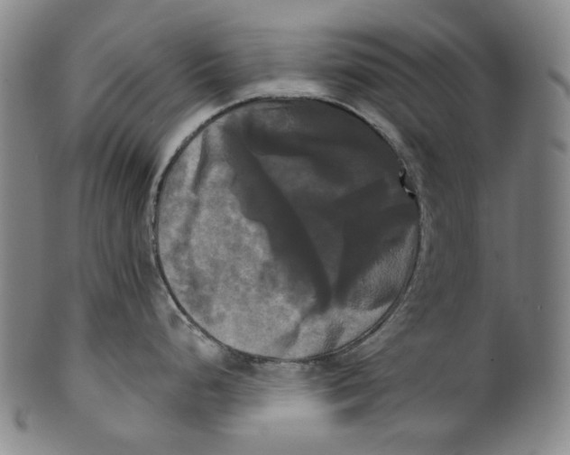 X0000099421248200806060948