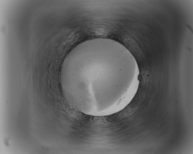 X0000099421249200806060947