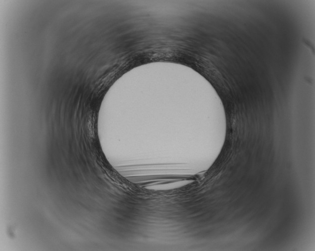 X0000099421250200806060947