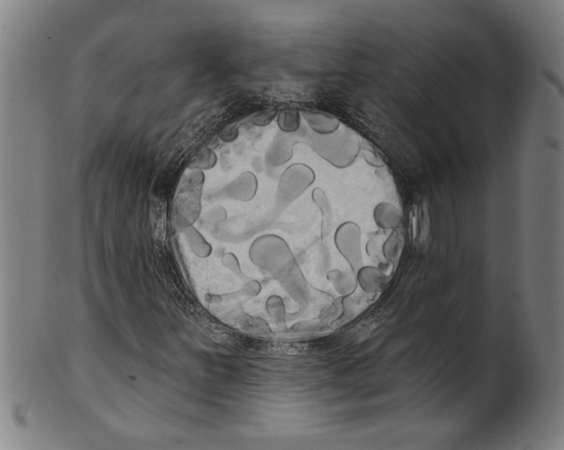 X0000099421251200806060947