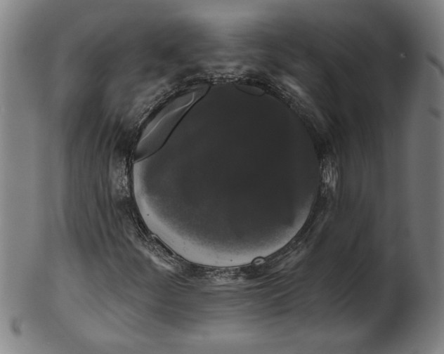 X0000099421252200806060947
