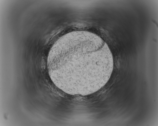 X0000099421253200806060947