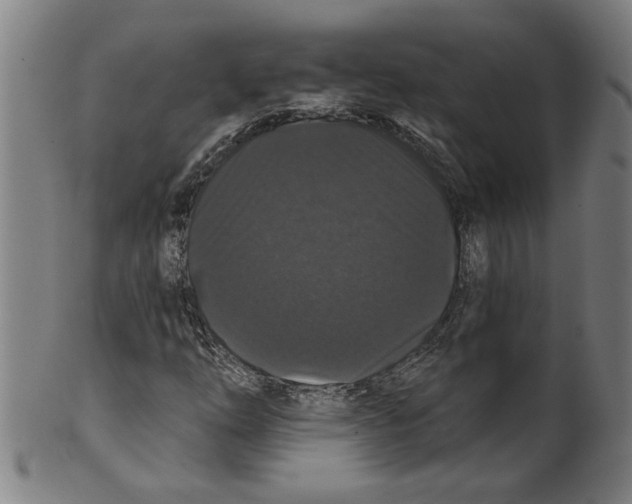 X0000099421254200806060947