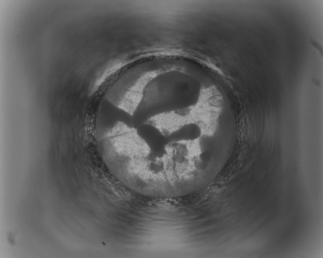 X0000099421255200806060947