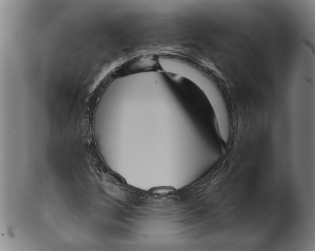 X0000099421256200806060947