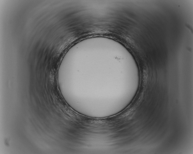 X0000099421257200806060947