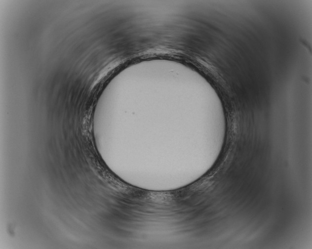X0000099421258200806060947