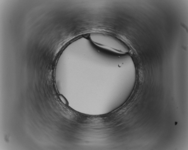 X0000099421260200806060947
