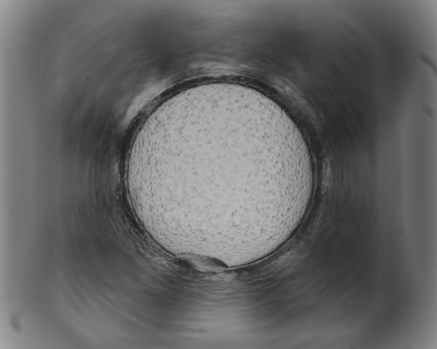 X0000099421261200806060947