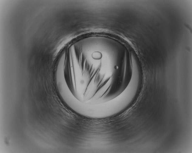 X0000099421263200806060947