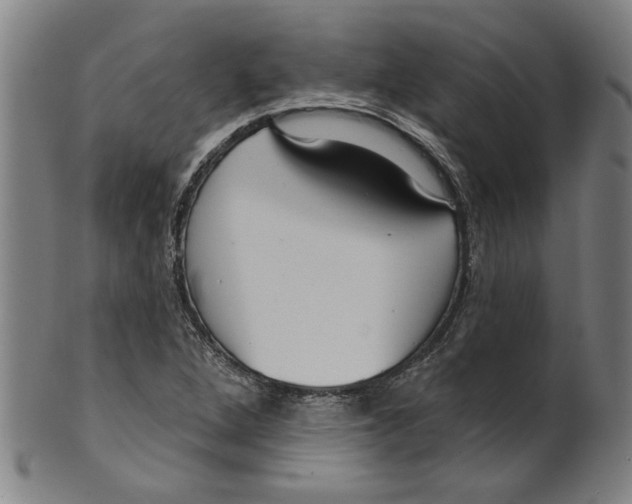 X0000099421264200806060947