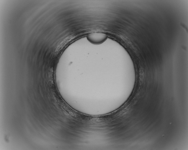 X0000099421265200806060947