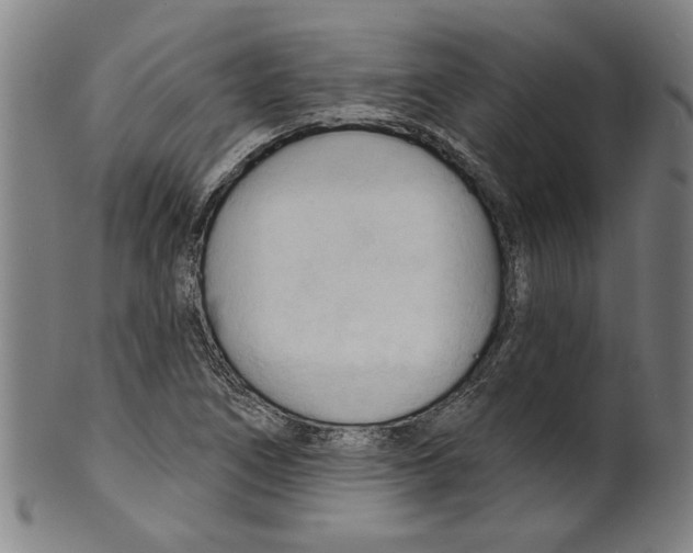 X0000099421266200806060947