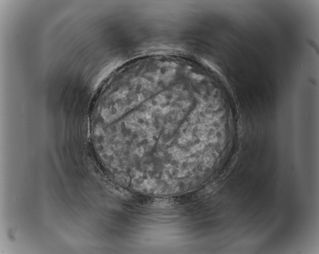 X0000099421267200806060947