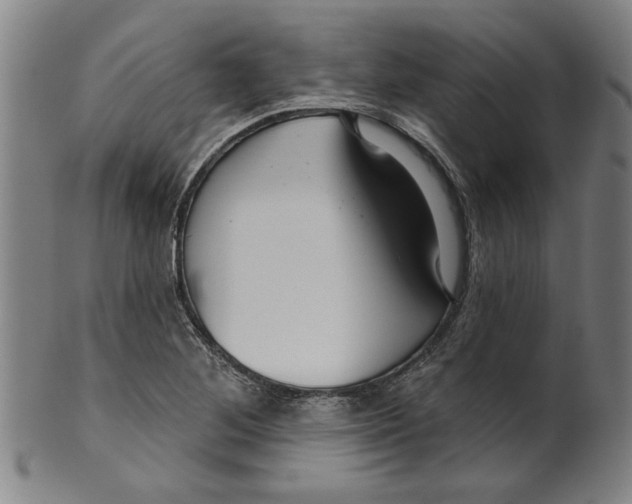 X0000099421268200806060947