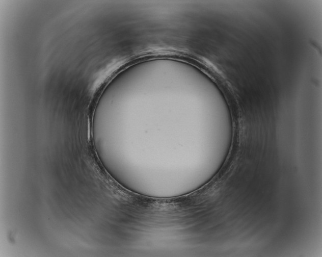 X0000099421269200806060947