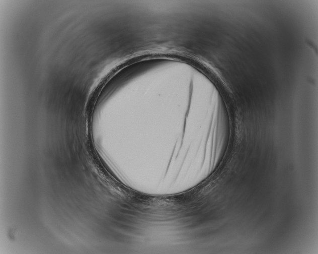 X0000099421270200806060947