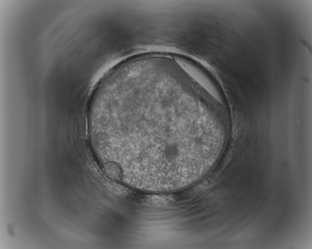 X0000099421271200806060947