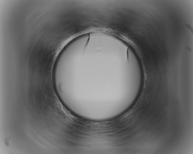 X0000099421272200806060947