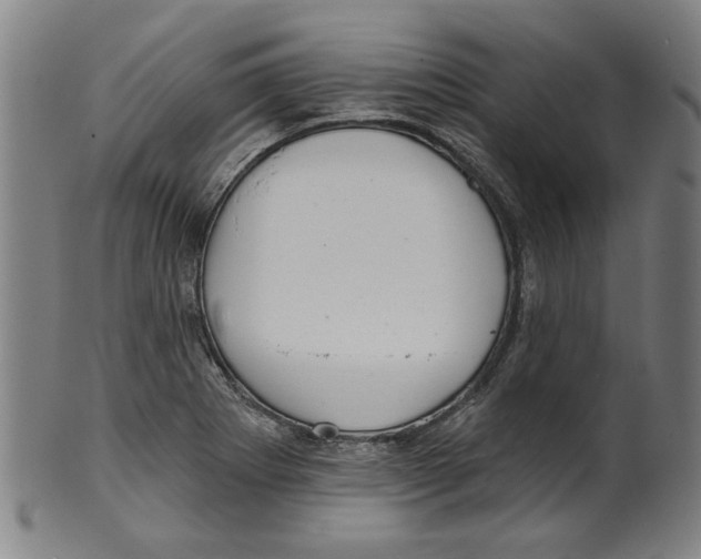 X0000099421273200806060947