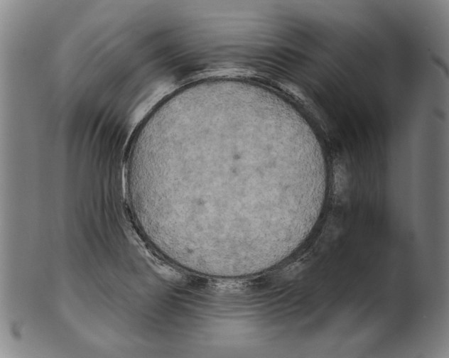 X0000099421274200806060946