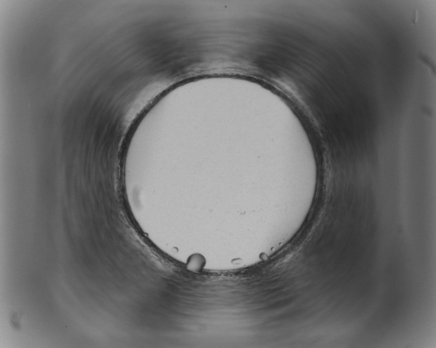 X0000099421277200806060946
