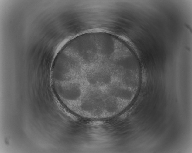 X0000099421278200806060946