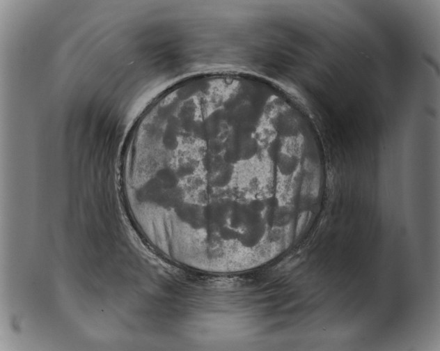 X0000099421279200806060946