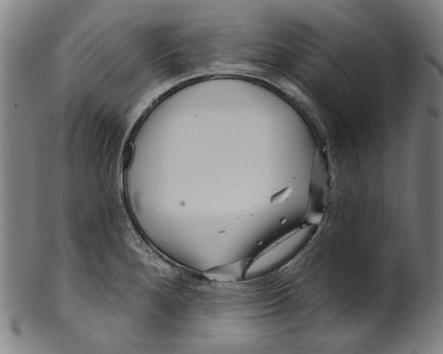 X0000099421280200806060946