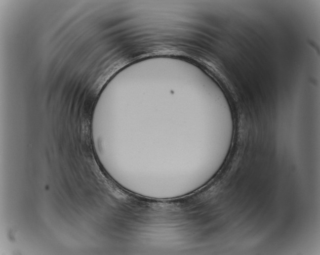 X0000099421281200806060946