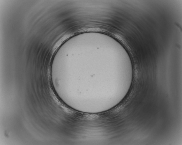 X0000099421282200806060946
