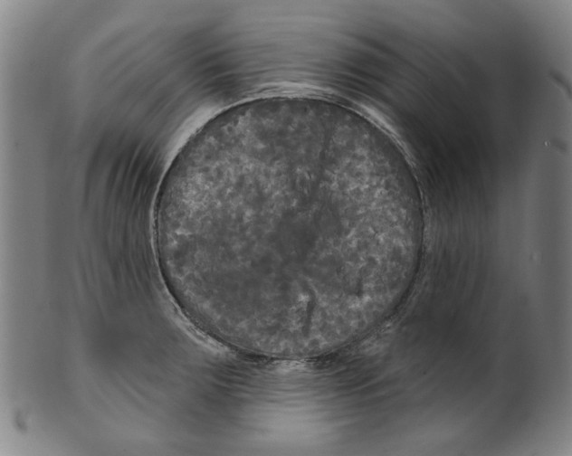 X0000099421283200806060946